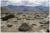 Ladakh II Gallery
